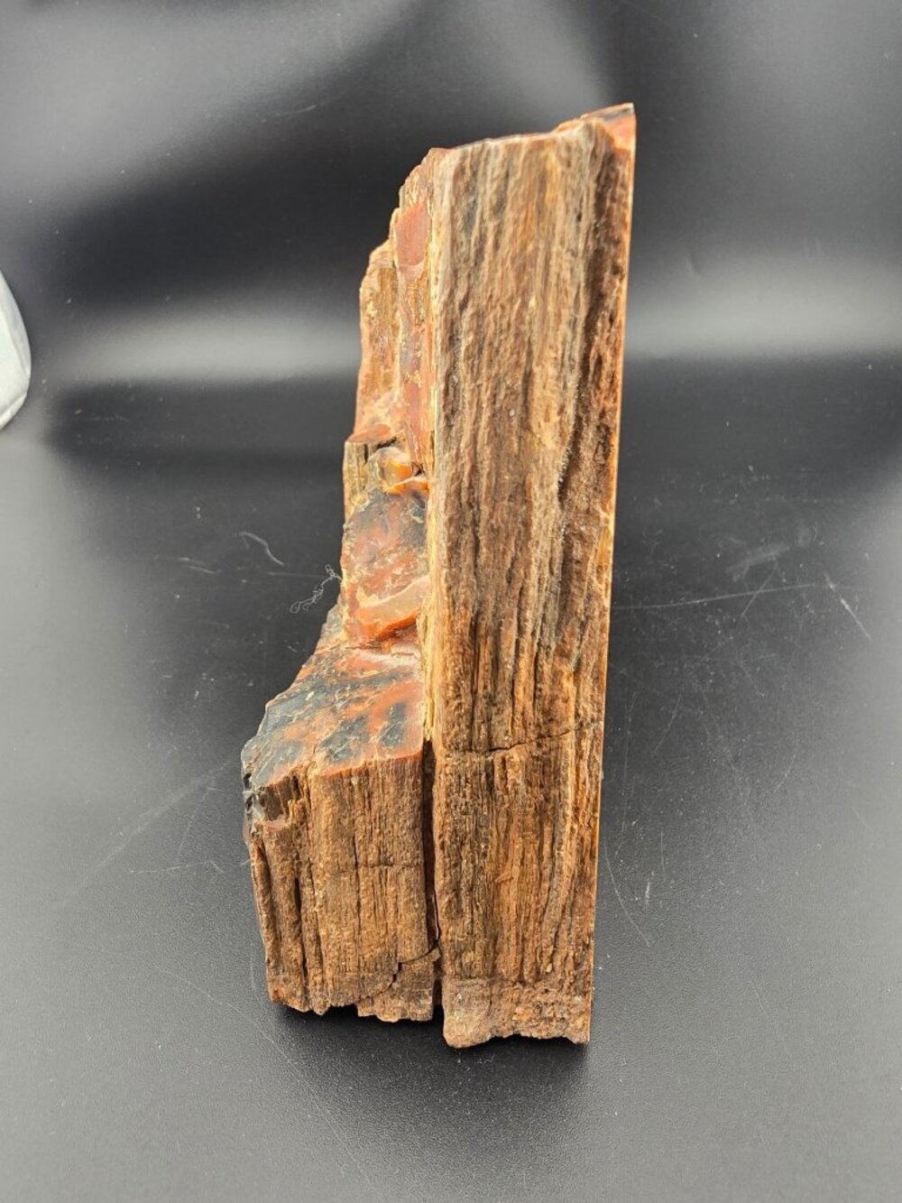 Petrified Wood Fossil Specimen With Rich Red & Black Hues, Polished/Raw -2.1 lbs - Picture 13 of 16